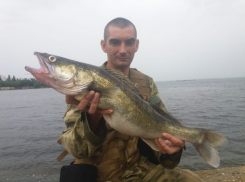 Камышинская страсть: о рыбаках и рыбах (ВИДЕО)