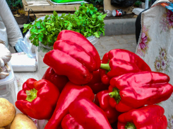Сладкий перец для красивых заготовок «смягчил» ценник в Камышине