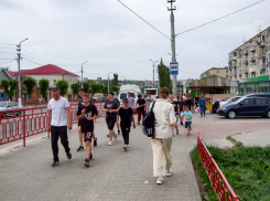 «Жи-ши» пиши в строке поиска: жители Волгоградской области стали чаще пользоваться онлайн-словарями