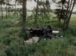 Водитель «Дэу» слетел с дороги, врезался в березу и погиб на месте
