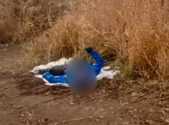 На Волге напротив Камышина утонул рыбак