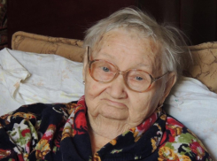 Власти Камышина «засветились» на региональном уровне со скандалом, связанным с равнодушием к судьбе 95-летней бабушки-бойца