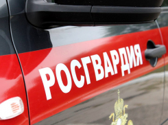 В Камышине росгвардейцы задержали молодую вороватую «мадам», скрывавшуюся от правоохранителей