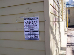 Если в Камышине есть начальники города, то пусть они устроят несладкую жизнь тем, кто весь Камышин обляпал «башкирским медом», - камышанка