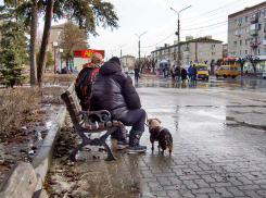 Я не просила подсаживаться вас с собакой на скамейку, где я отдыхаю, - камышанка