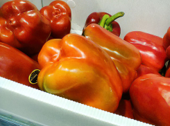 Весеннее обострение цен отмечено в Волгоградской области