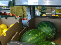 Откуда в Камышине в июне взялись арбузы, и можно ли их покупать?