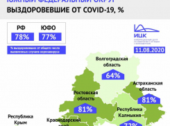 В Волгоградской области самый низкий процент выздоровевших от коронавируса по Южному федеральному округу