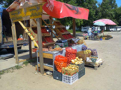 В Камышине расцвели во всей красе полустихийные рынки - на земле, без прилавков, без воды и без туалетов