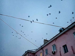  Компенсация на погребение в Волгоградской области немного увеличилась