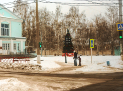 В Камышине новогодняя наряженная елка на центральной улице «пошла на рекорд» как старожил