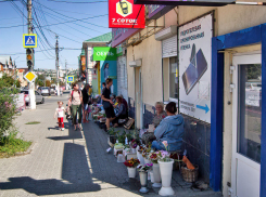 В Камышине «дикий» цветочный рынок решил, что он не хуже овощного, и тоже «незаметно» облюбовал себе место на асфальте на центральной улице