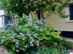 Губернатор Андрей Бочаров предложил жителям Волгоградской области, в том числе камышанам, никуда не ходить 9 мая