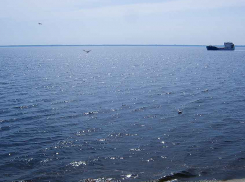 В Камышине уровень воды в Волге поднялся существенно выше неблагоприятной отметки - рыбе на радость