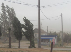 Ливневый дождь обрушится на Камышин в середине недели   