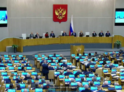 Полного обновления Госдумы ждут жители Волгоградской области в новом созыве: они устали от «хайпожорства» слуг народа