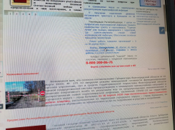 На сайте Кремлин.ру опубликовано поздравление Владимира Путина с Пасхой, а на сайте администрации Камышина - только запрет на посещение кладбищ