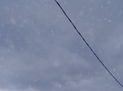 В Камышине пошел первый снег   