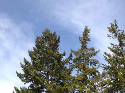 Шторм закружит Волгоградскую область в два захода на выходных