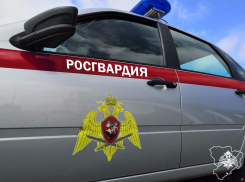 В Камышине росгвардейцы задержали вора автомобильных аккумуляторов на месте преступления