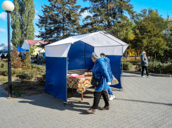 «Не надо злить людей!»: чиновников обвинили в приукрашивании ситуации с бедностью, - «Блокнот Волгограда»