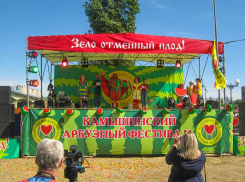 Камышане «недосчитались» Пушкина на Арбузном фестивале, но «с ним все хорошо»!