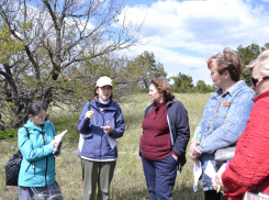 В какие экспедиции природный парк Камышинского района приглашает «погрузиться»  педагогов