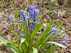 Дожди сделают передышку для камышан, но короткую