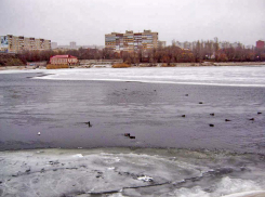 В Камышине начала замерзать Камышинка, но дикие утки пока плавают на участке открытой воды (ВИДЕО)