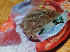 В Камышине покупательница развернула обертку конфеты и... чуть не съела червяка (ВИДЕО)