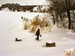 В Камышине прогнозируется дождь: погодная повестка на выходные