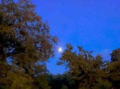 Молодой волгоградец убил своего брата-близнеца и звонил сам себе «от имени» трупа в канализационном колодце