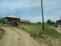 В Камышинском районе в селе Верхняя Липовка полицейский наряд уже больше месяца охраняет вход на огород, где найдена старая бомба