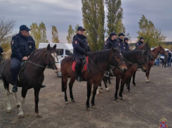 В Камышине полицейские для проверки проехали и проскакали по местам, где могут трудиться нелегалы