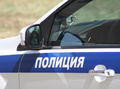 Сотрудниками полиции по подозрению в совершении грабежа задержан 28-летний камышанин