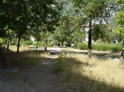 Главный архитектор Камышина Дмитрий Вайрих гарантирует горожанам 500-метровую Аллею Любви на месте забытой Богом улицы Терешковой