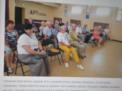 В Камышине административная газета «Диалог» объявила, что много начальства встречалось с местными дачниками, но что решили - неизвестно