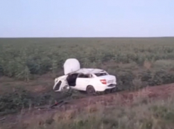 Под Камышином водитель «уронил» машину в кювет и погиб на месте (ВИДЕО)