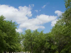 Стало известно, кто 24-я жертва, скончавшаяся от коронавируса