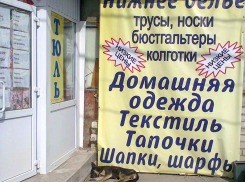 Камышинских бездомных псов дополнительно обещают охватить стерилизацией на безвозмездной основе