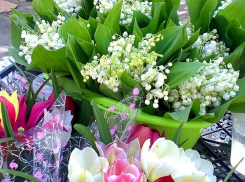 Некоторые сервисы синоптиков отменили грозу в Камышине 5 мая, оставили в прогнозе только слабый дождь