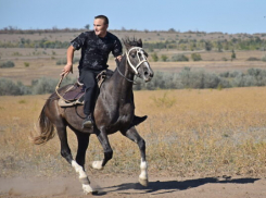 По какому случаю в Камышинском районе объявили скачки