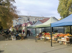 Камышинская городская дума соберется на заседание и рассмотрит «третьестепенные» вопросы, далекие от коронавирусной «лихорадки»