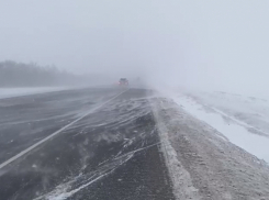 ГИБДД сегодня, 25 декабря, обратилась к водителям Волгоградской области в связи с ухудшением погодных условий