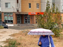 Весь день в среду, 16 октября, в Камышине будет моросить дождь, но немного потеплеет
