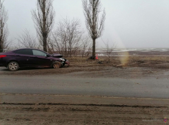 Пенсионер за рулем на пустынной сельской дороге умудрился врезаться в дерево