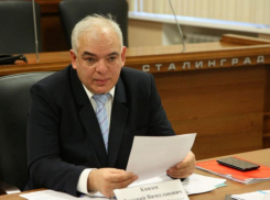 Статусный журналист хочет баллотироваться в Госдуму по избирательному округу, где голосуют камышане