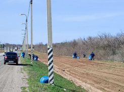 Администрация Камышина доложила горожанам, сколько мешков мусора собрали на трассе, и не только