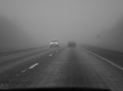 ГИБДД экстренно предупредила водителей, что федеральную трассу в Камышинском районе накрыл туман