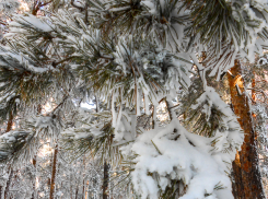 Атаку БПЛА на объекты транспорта и энергетики отразили в Волгоградской области , а вослед вновь объявили «тревогу»